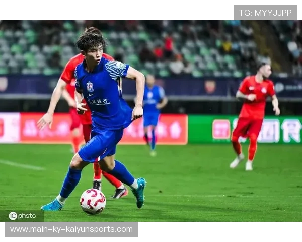 足协裁判参考FIFA专家意见，申花球员无犯规，足协裁判参考fifa专家意见,申花球员无犯规行为